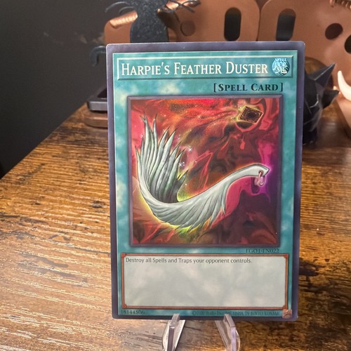 Harpies feather duster - feather,